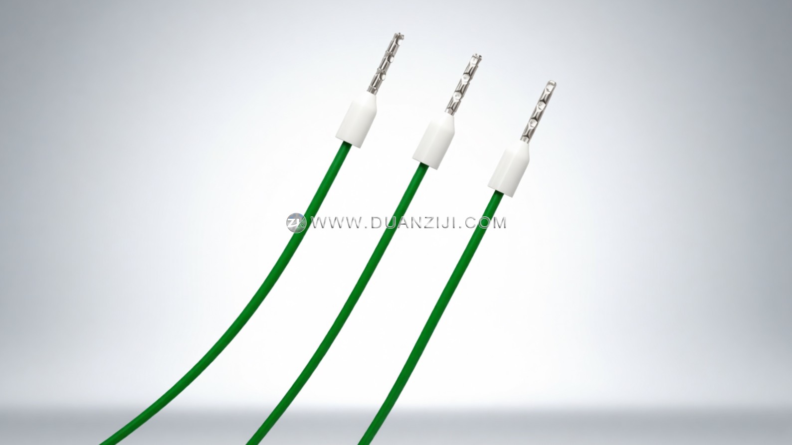 1769500881758676.jpg 300.jpg